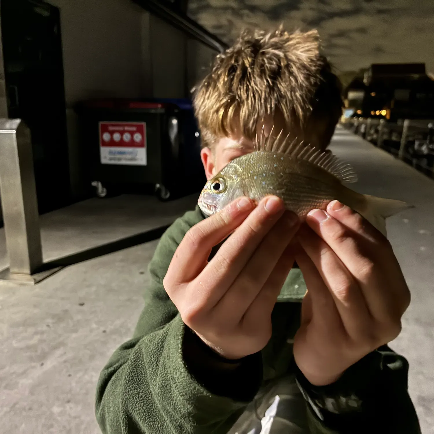 Australasian snapper caught on Fishbrain