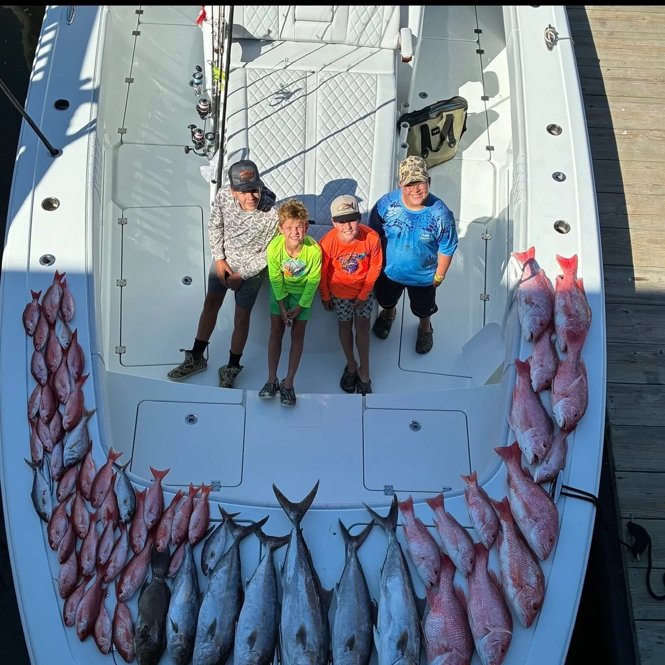 Greater amberjack caught on Fishbrain