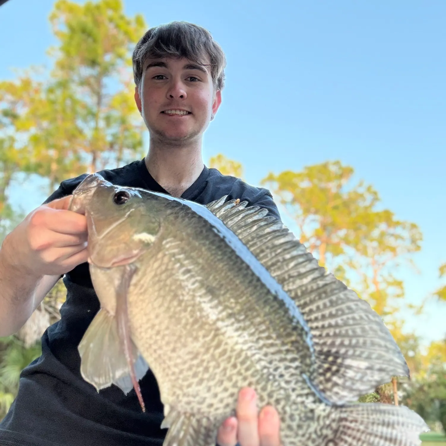The most recent Blue tilapia catches on Fishbrain