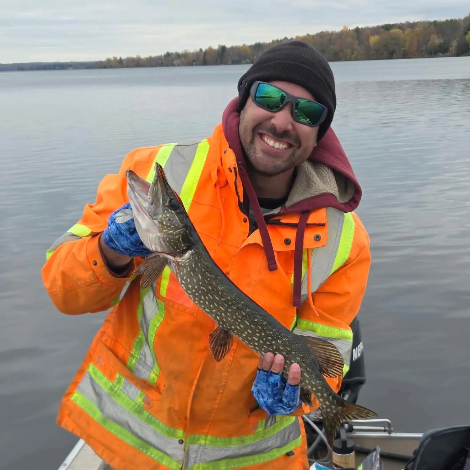 Northern pike caught on Fishbrain