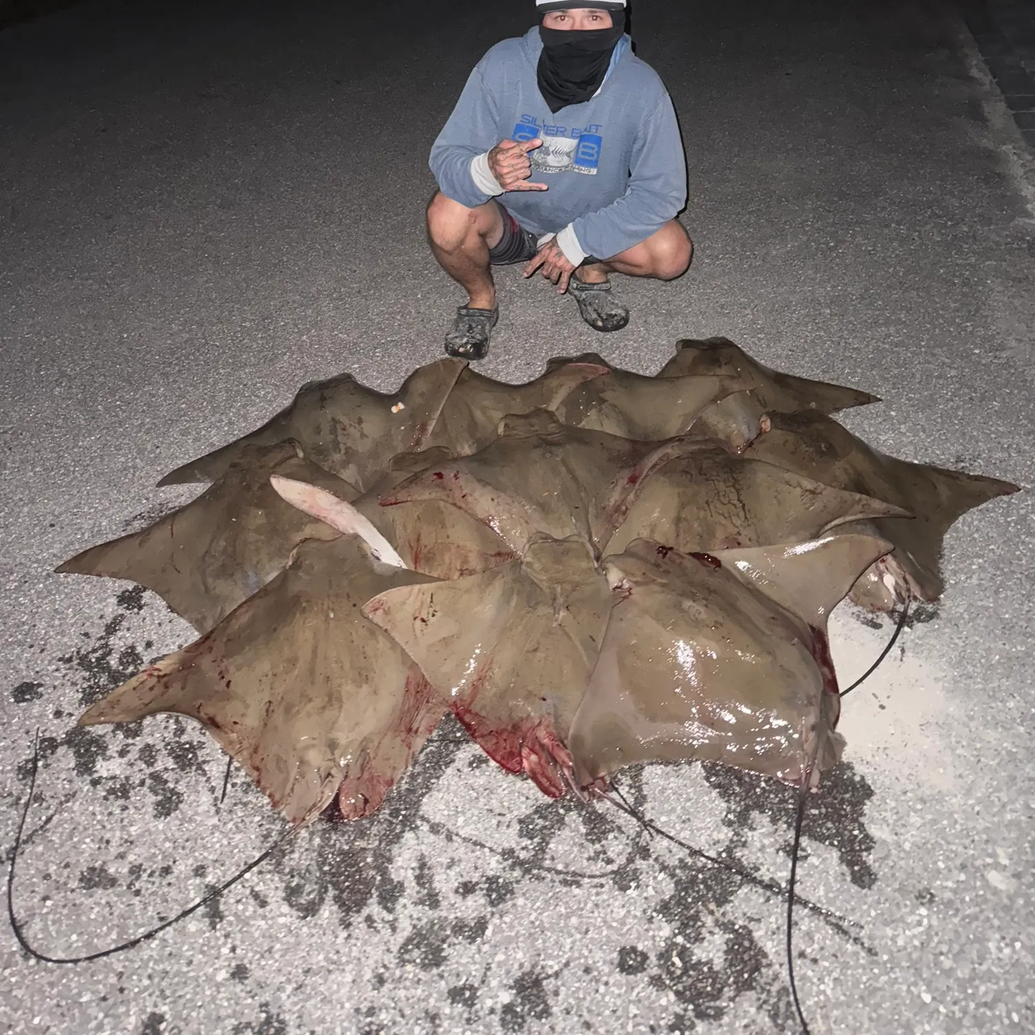 The most popular recent Flapnose ray catch on Fishbrain