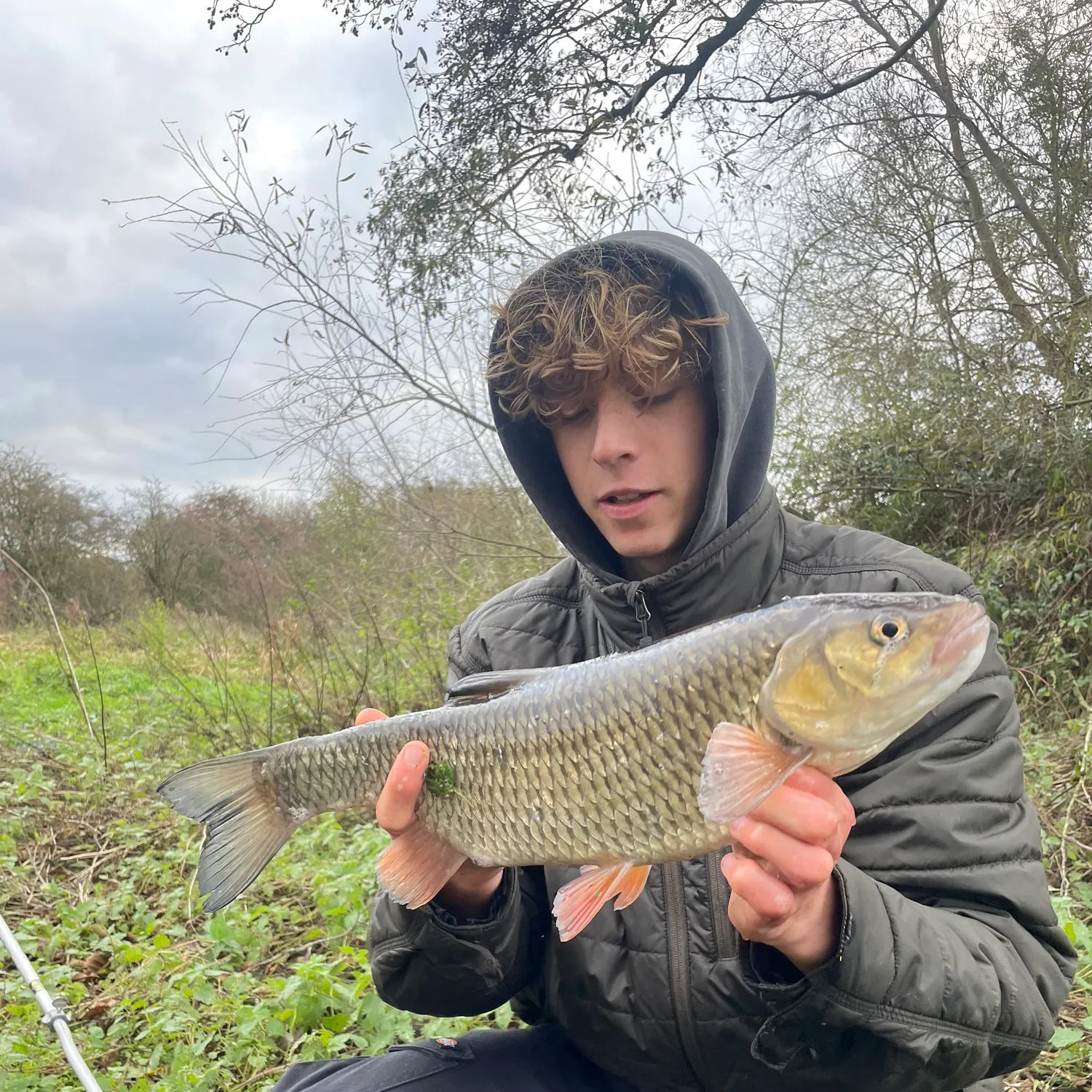 The most recent European chub catches on Fishbrain