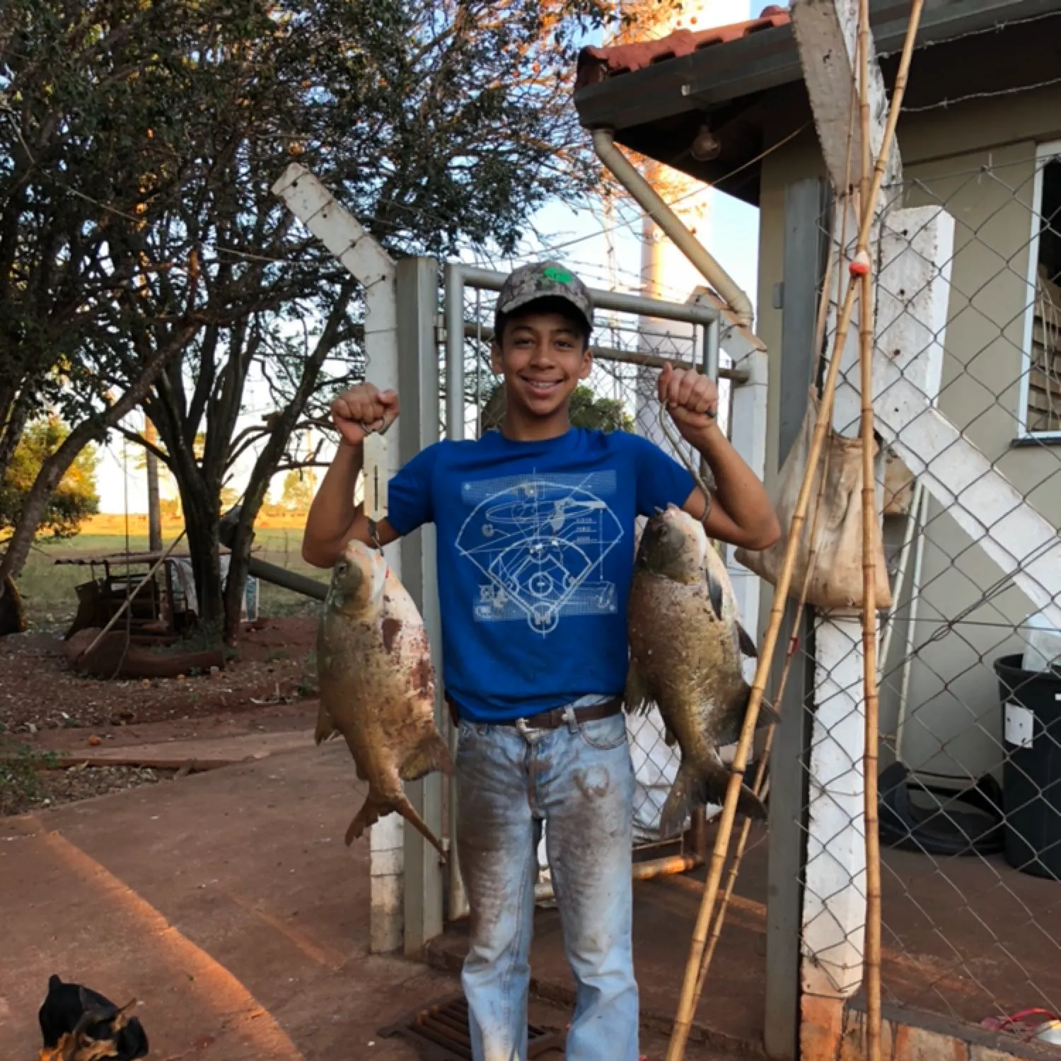 Small-scaled pacu caught on Fishbrain