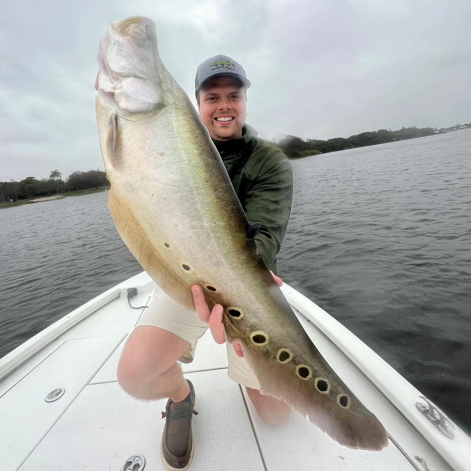 The most popular recent Clown knifefish catch on Fishbrain