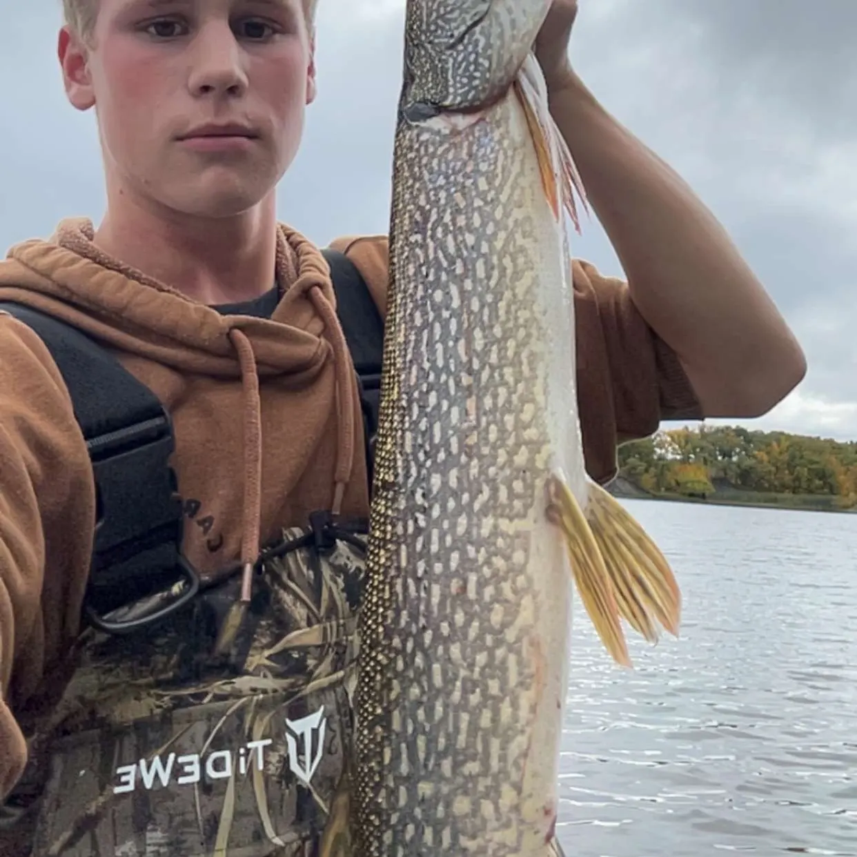 Northern pike caught on Fishbrain