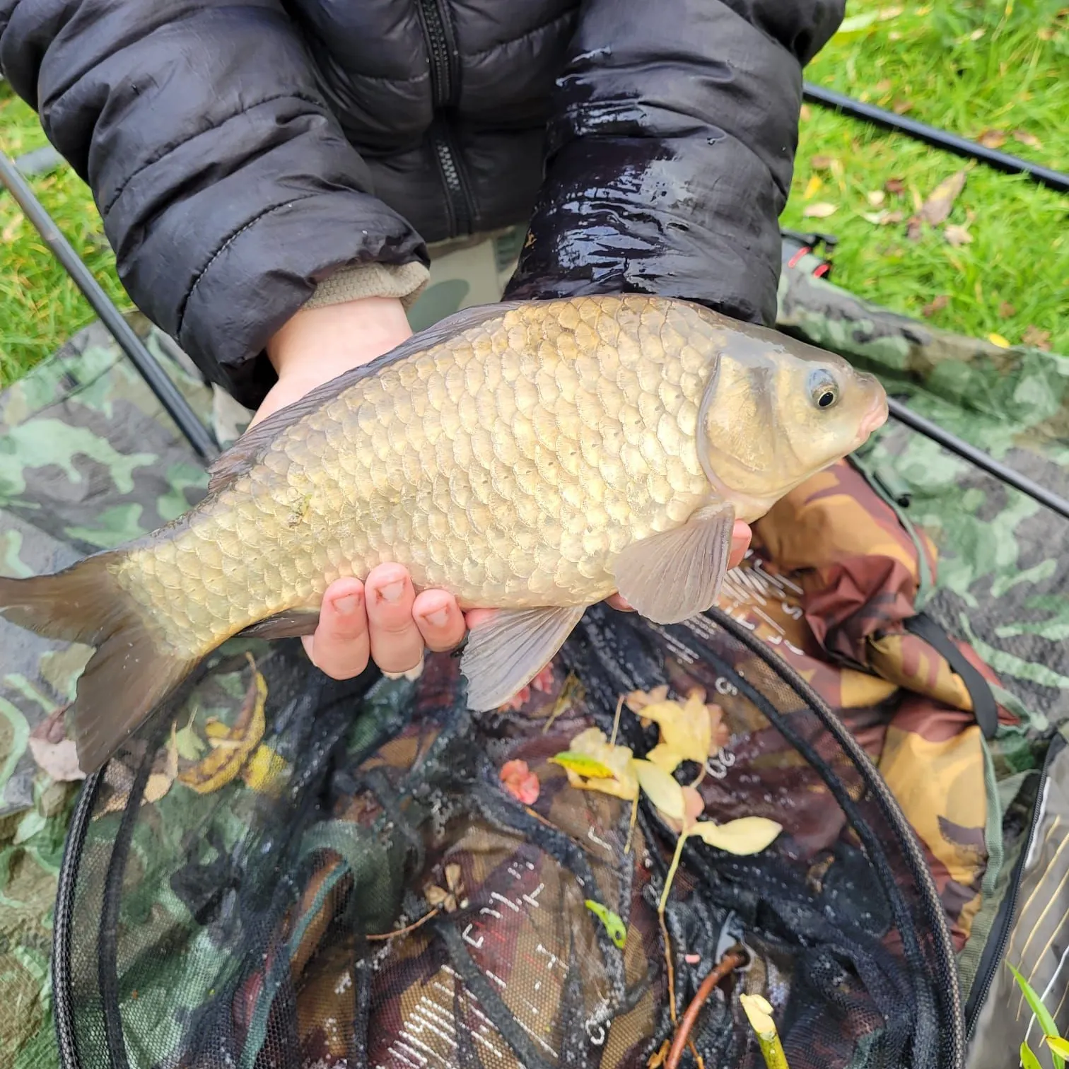 The most recent F1 carp catches on Fishbrain