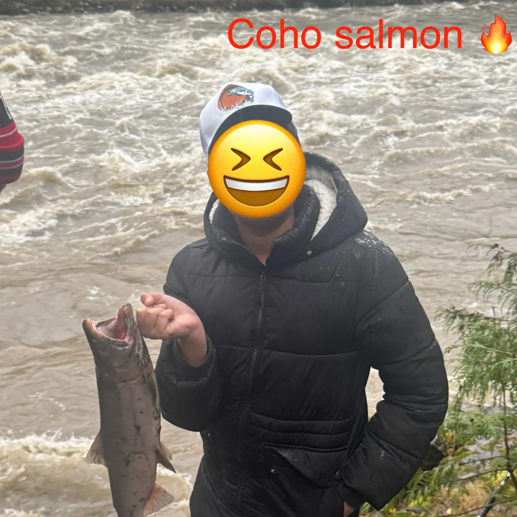 Coho salmon caught on Fishbrain