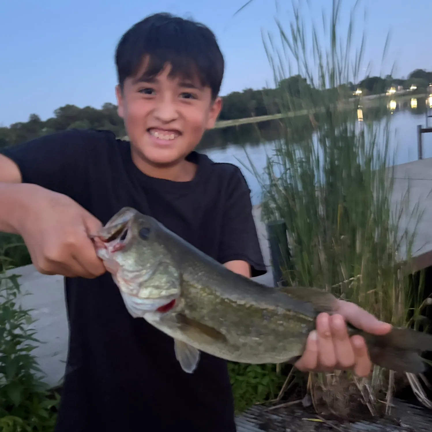 Largemouth bass caught on Fishbrain