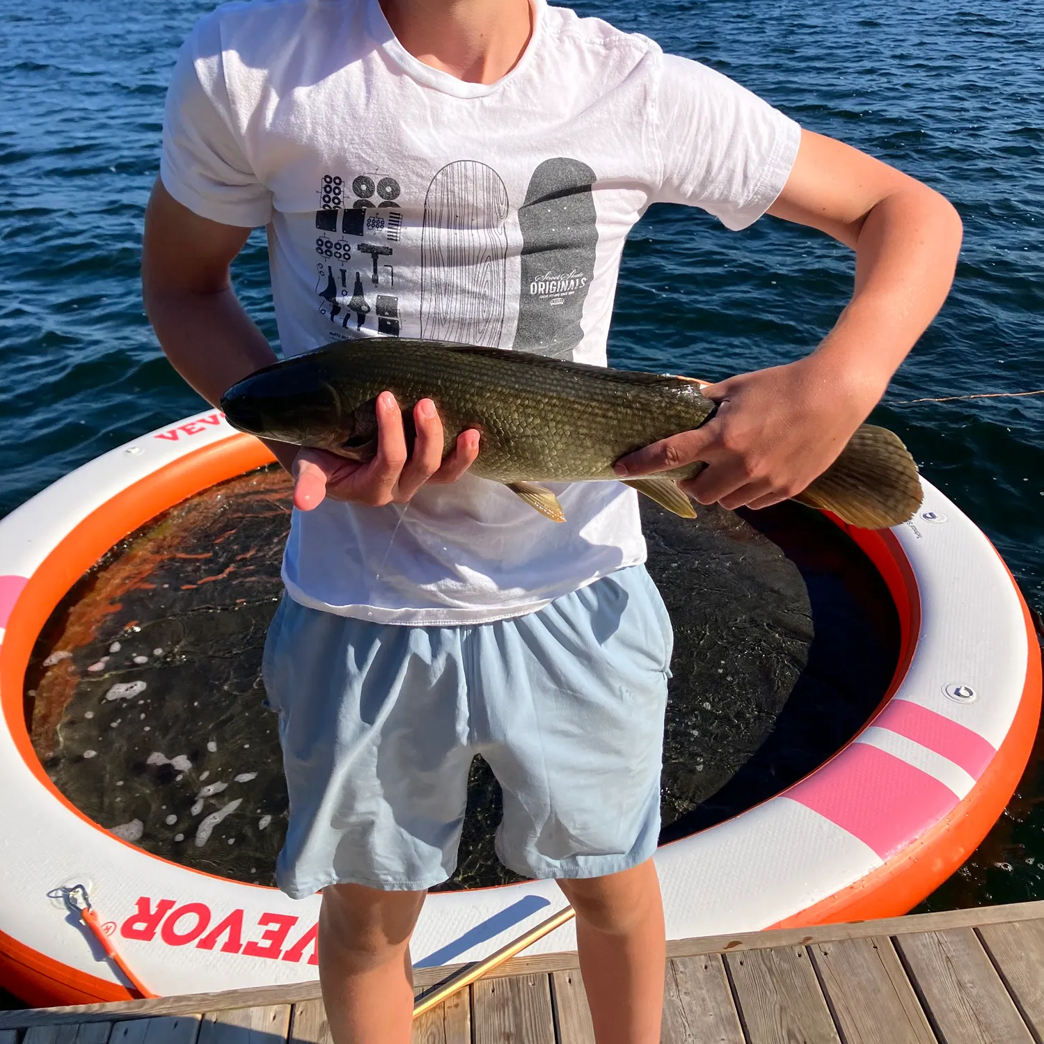 Eyetail bowfin caught on Fishbrain