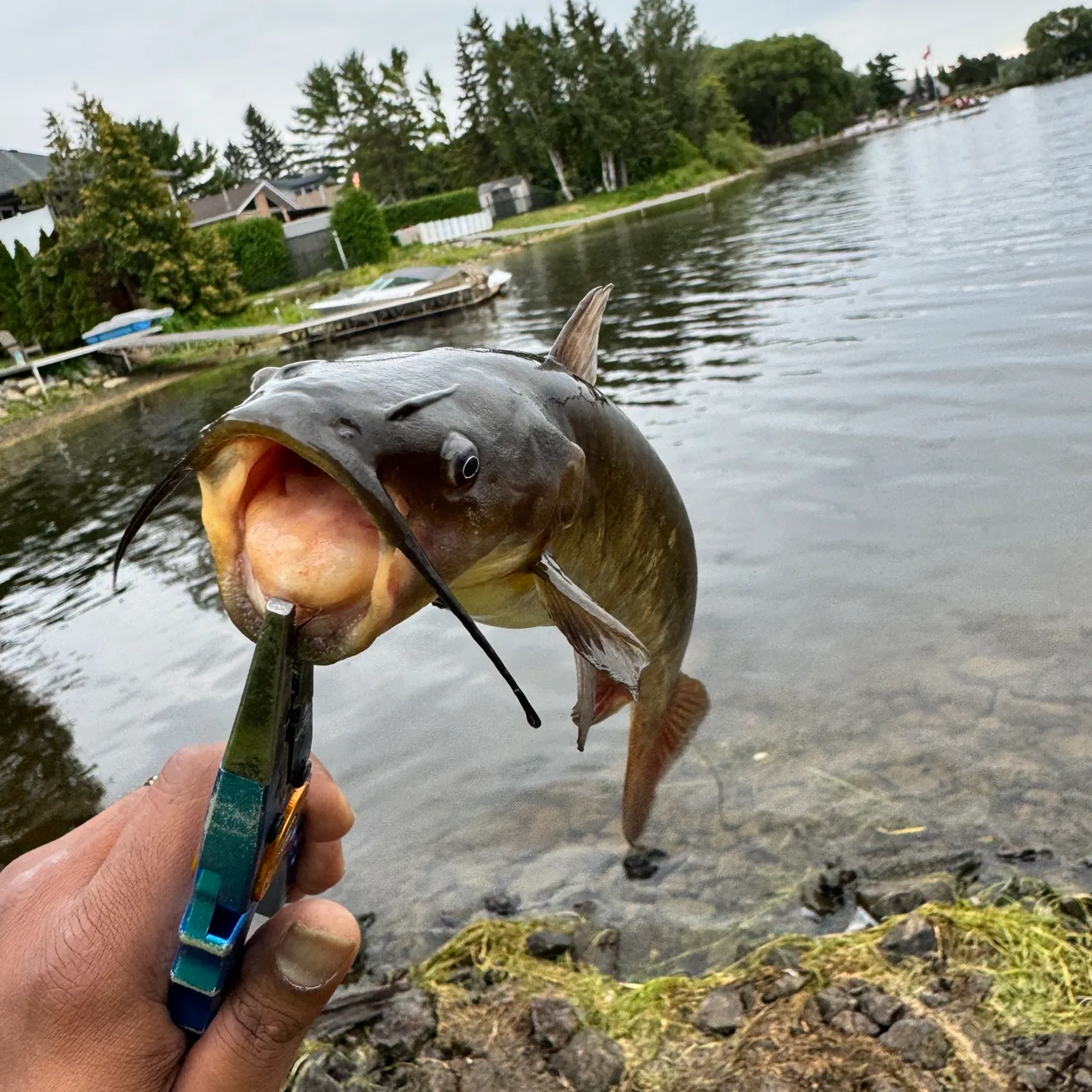 catch