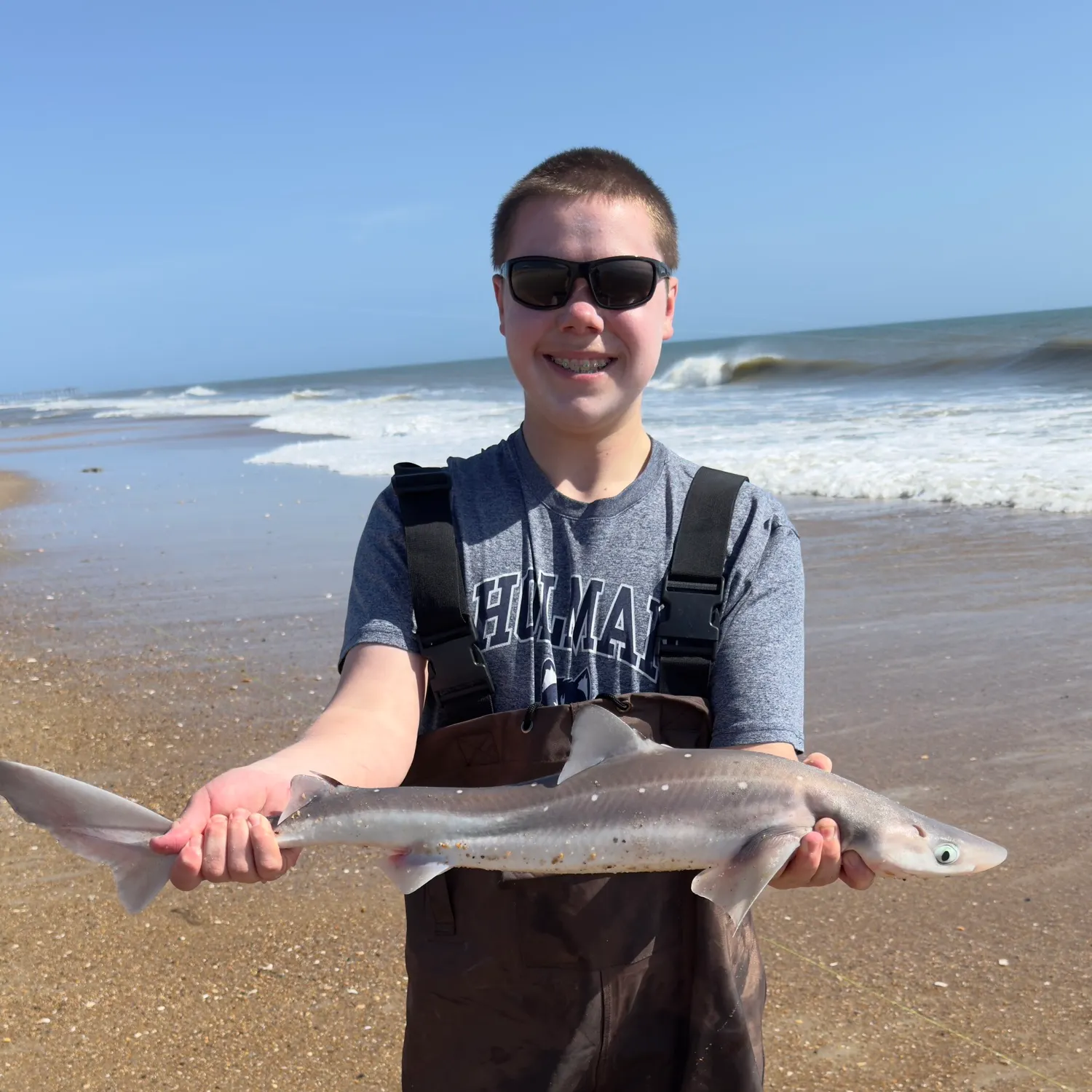 The most recent Piked dogfish catches on Fishbrain