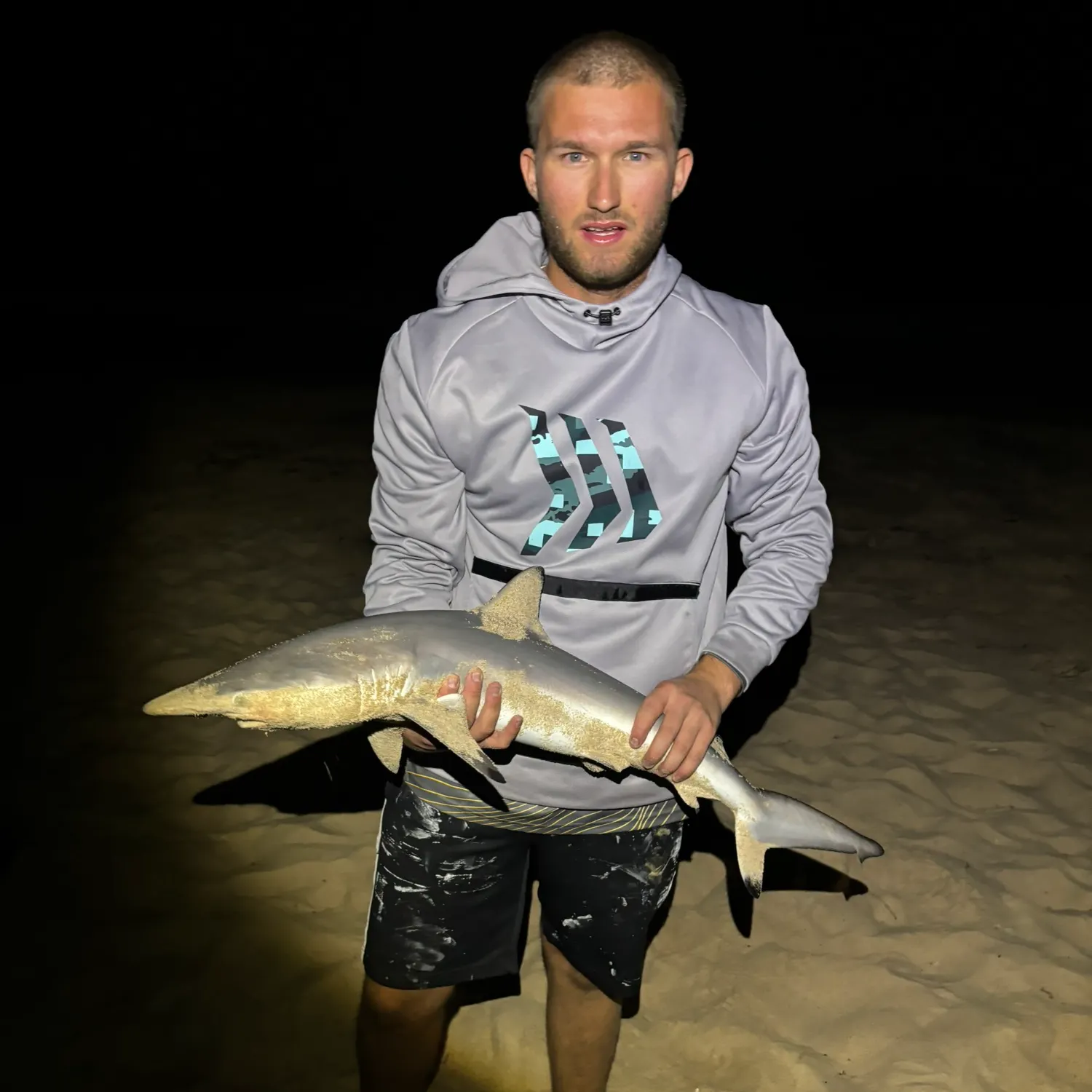 The most recent Copper shark catches on Fishbrain