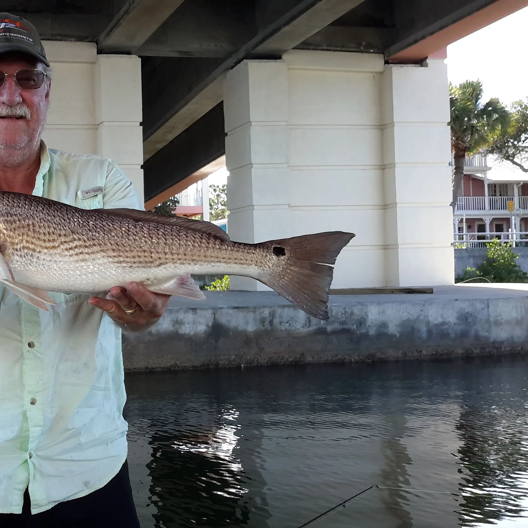 The most recent Red drum catches on Fishbrain