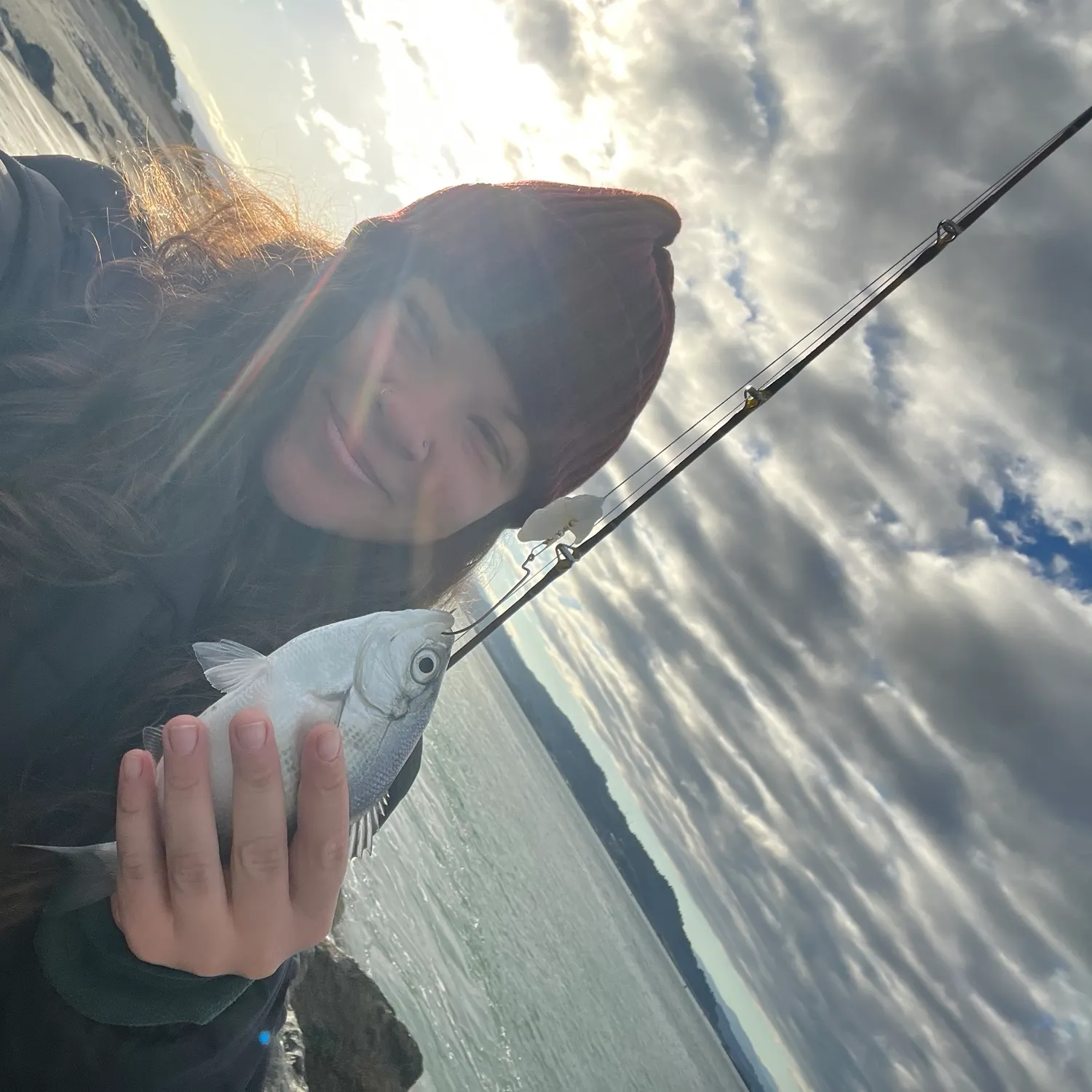 The most recent Shiner perch catches on Fishbrain