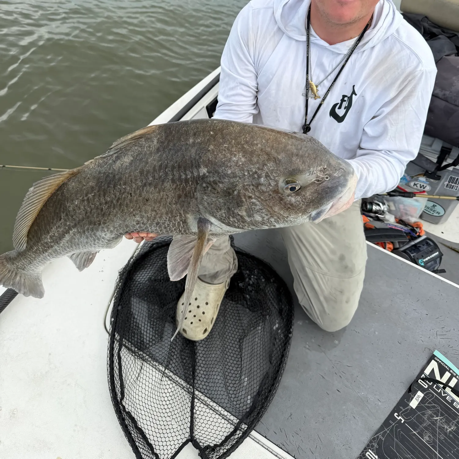 Black drum caught on Fishbrain