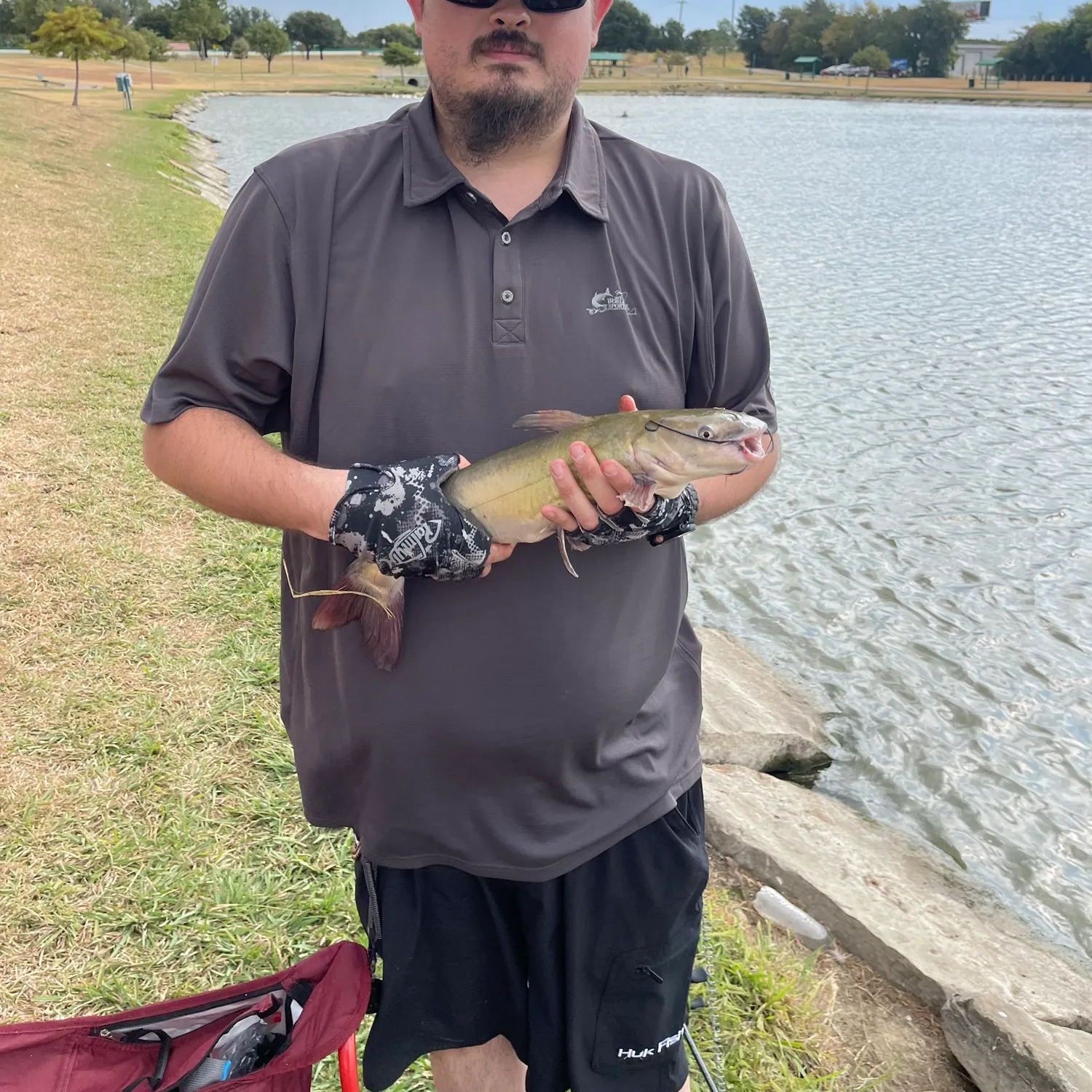 Channel catfish caught on Fishbrain