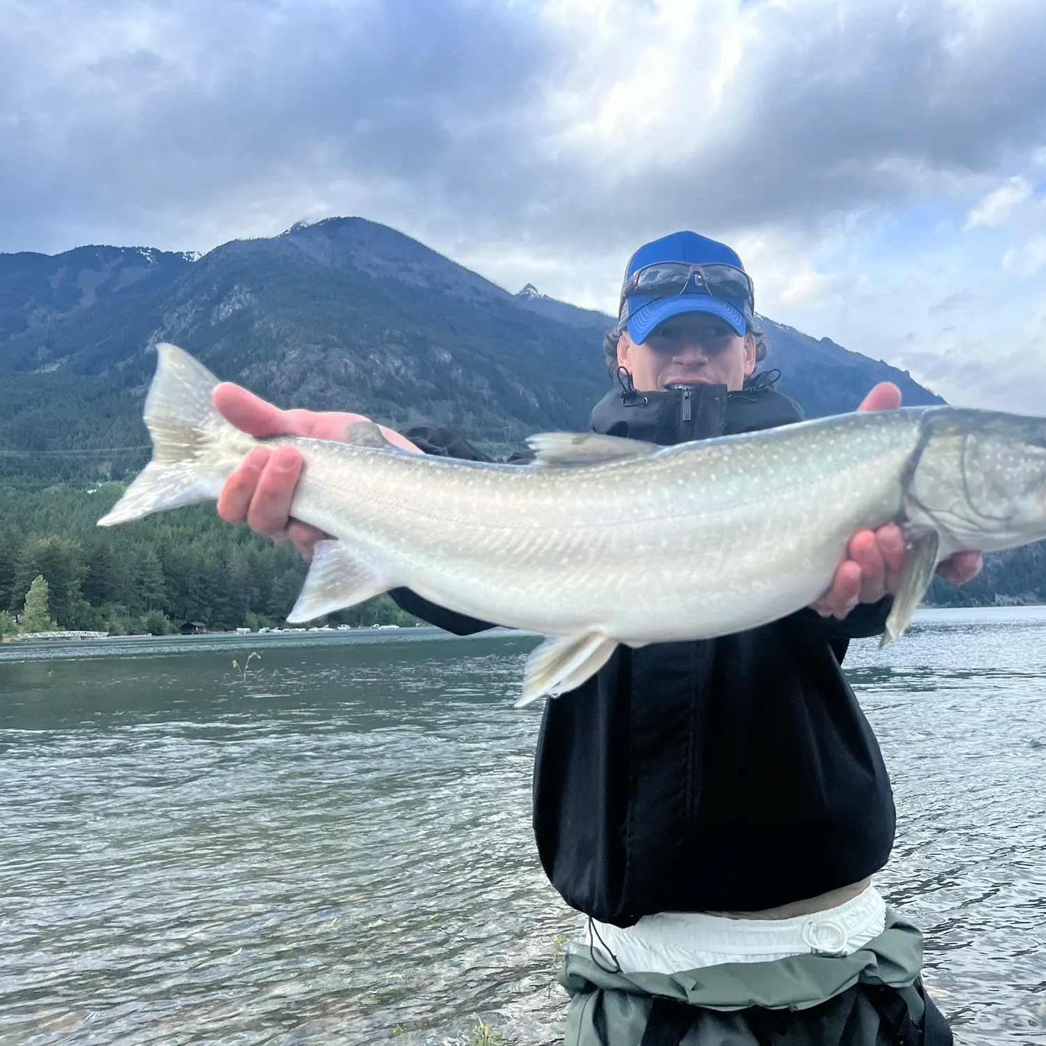 Bull trout caught on Fishbrain