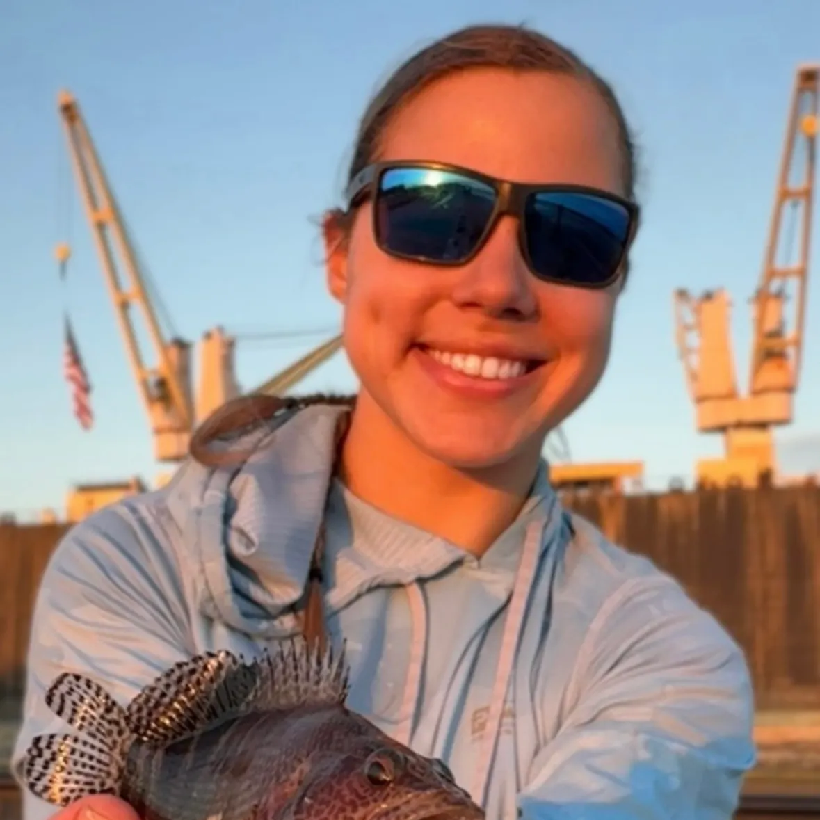 The most recent Belted sandfish catches on Fishbrain