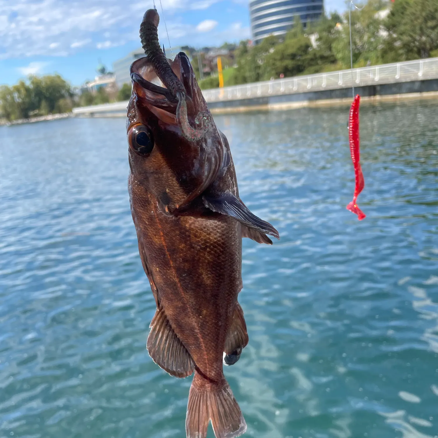 catch