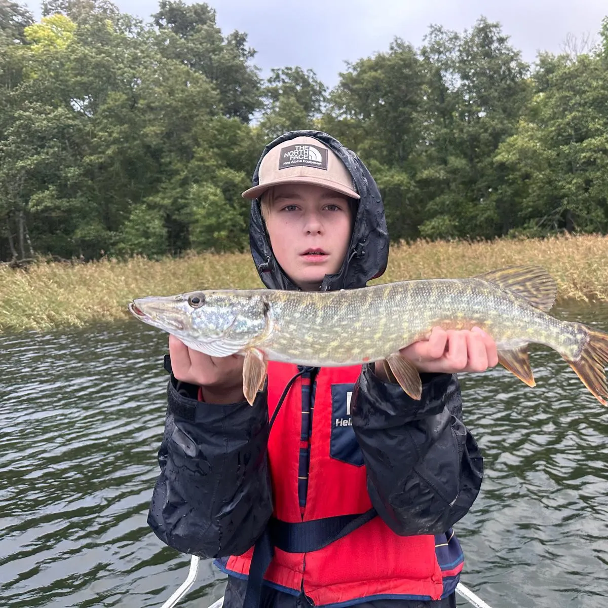 Northern pike caught on Fishbrain