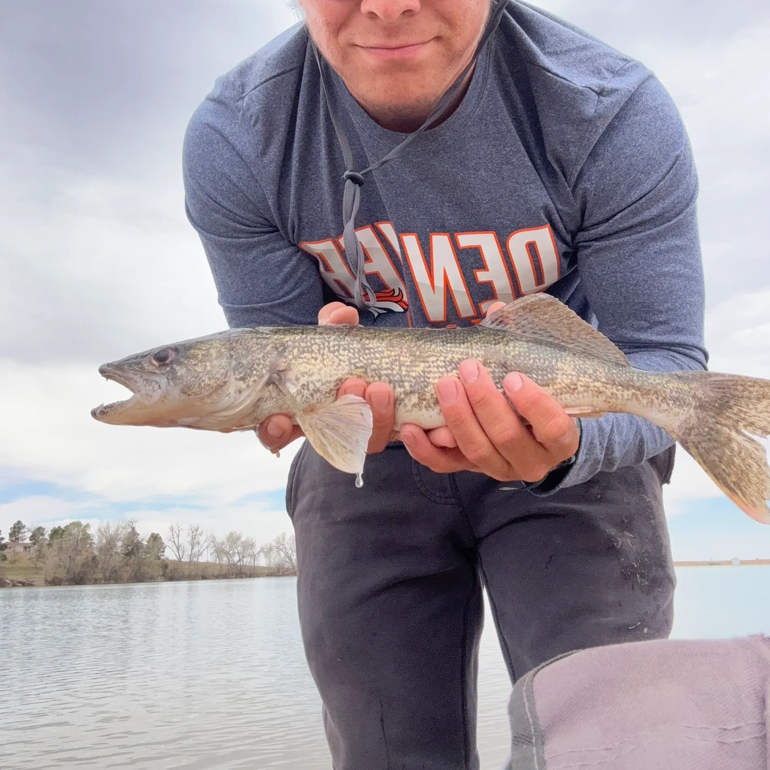 The most recent Sauger catches on Fishbrain