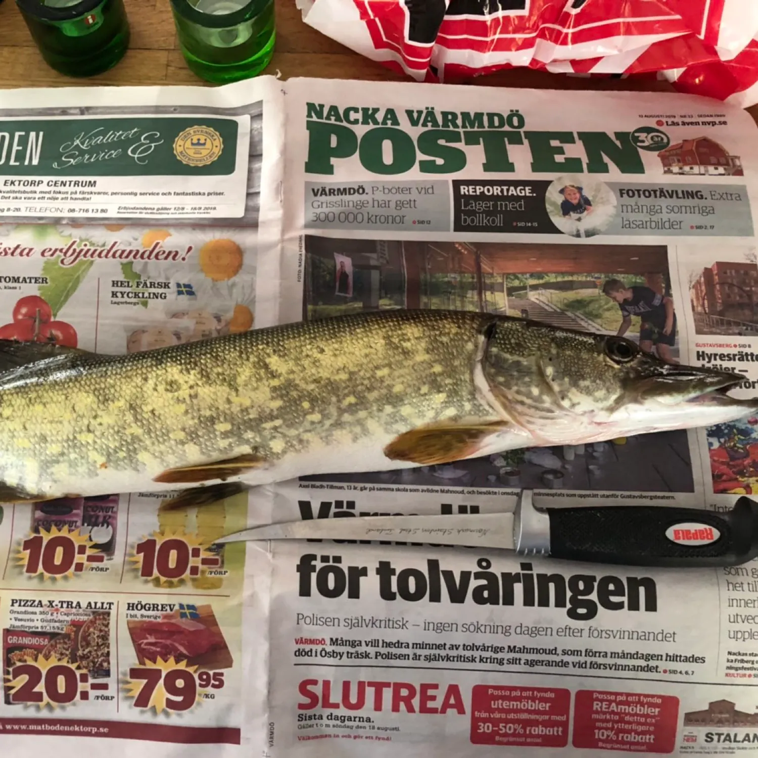 recently logged catches