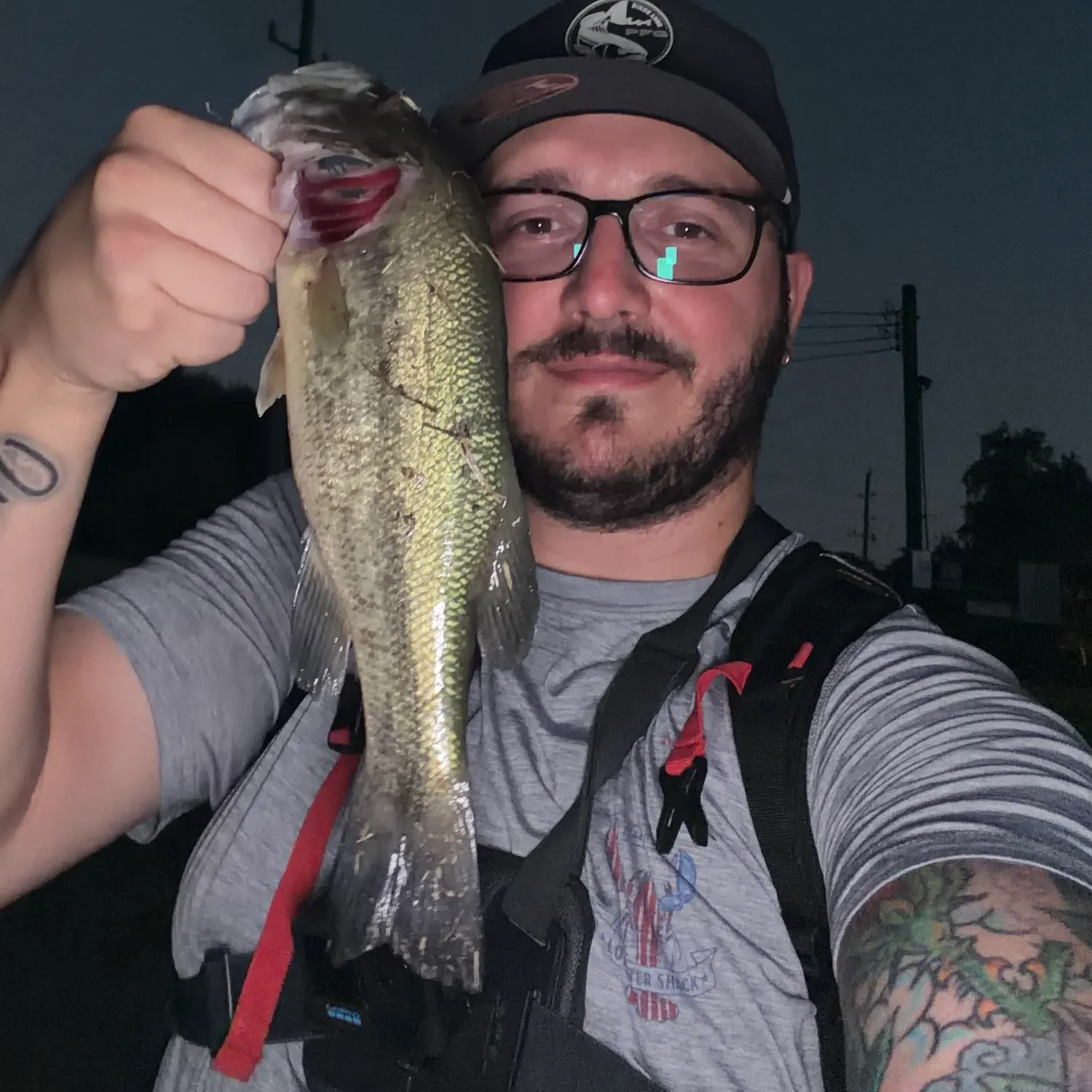 Largemouth bass caught on Fishbrain