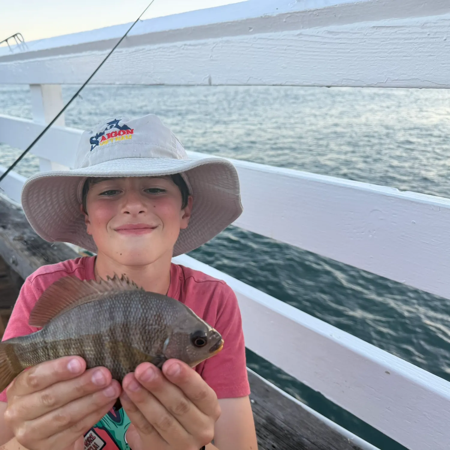 The most recent Black perch catches on Fishbrain