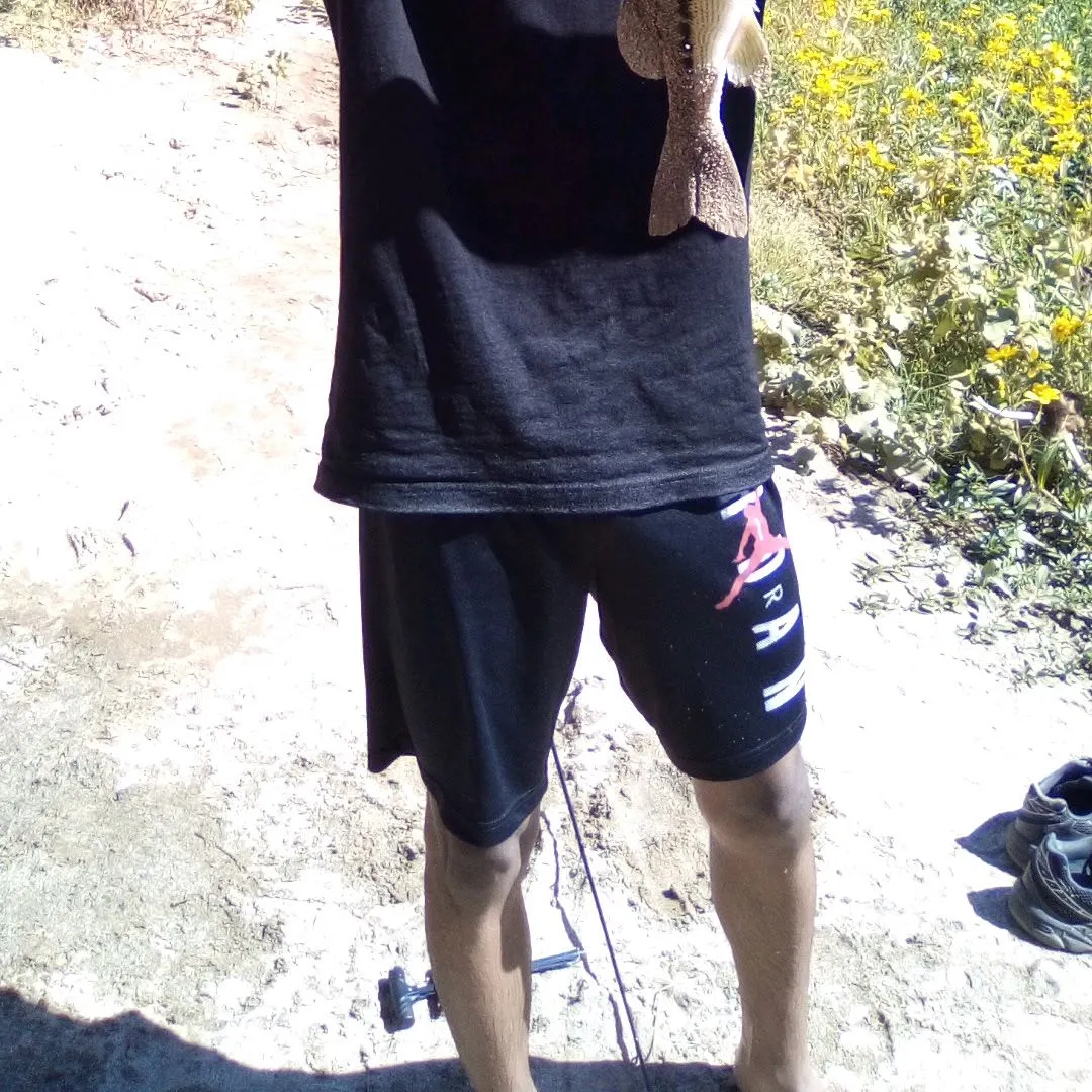 Spotted bass caught on Fishbrain