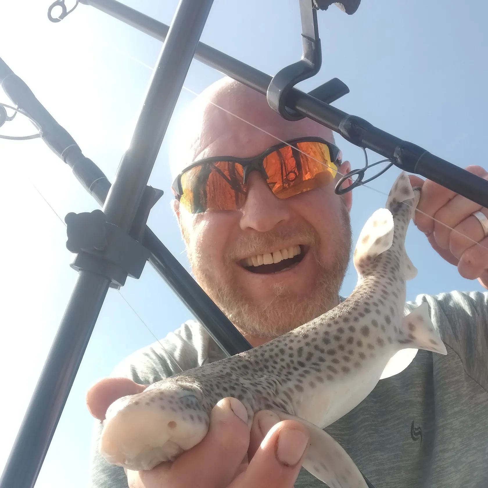 The most recent Lesser spotted dogfish catches on Fishbrain