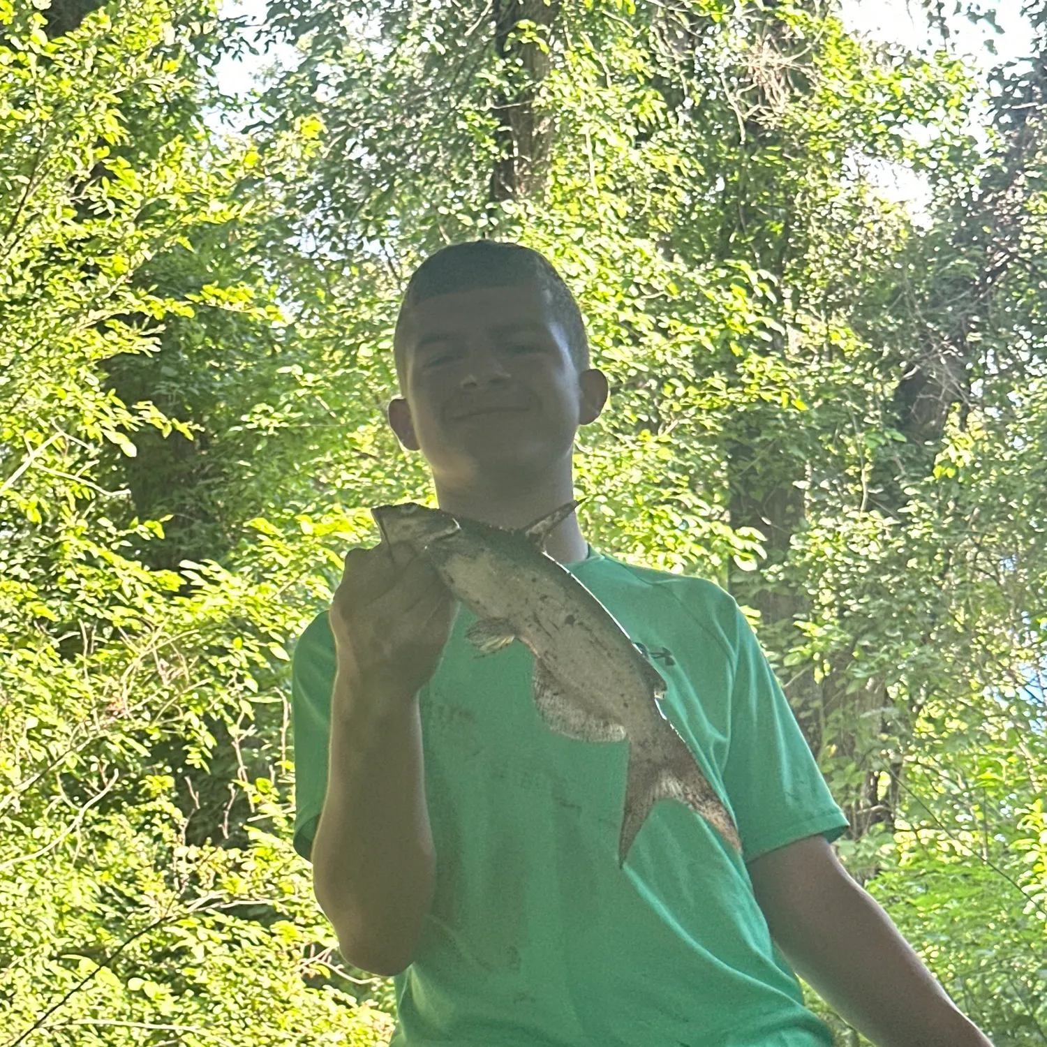 Channel catfish caught on Fishbrain