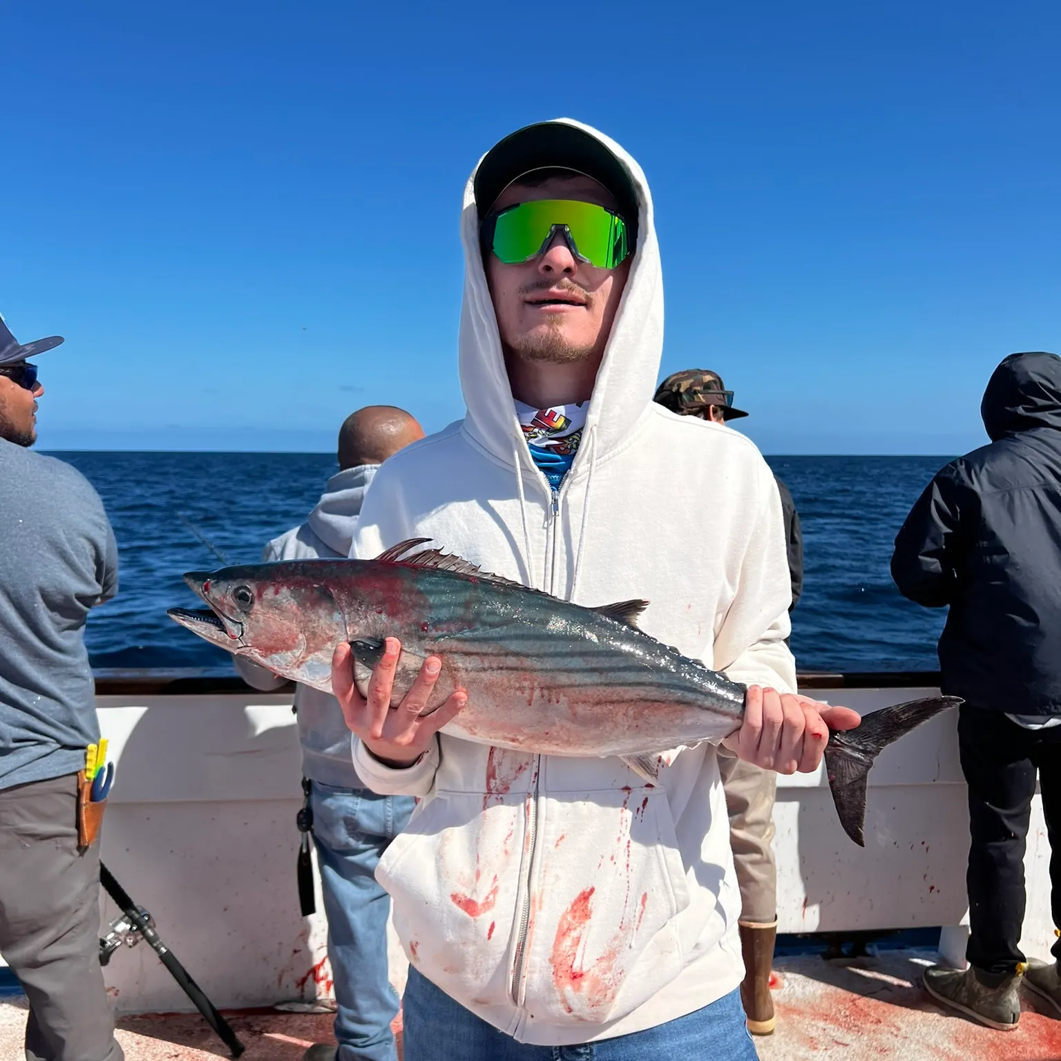 The most recent Pacific bonito catches on Fishbrain