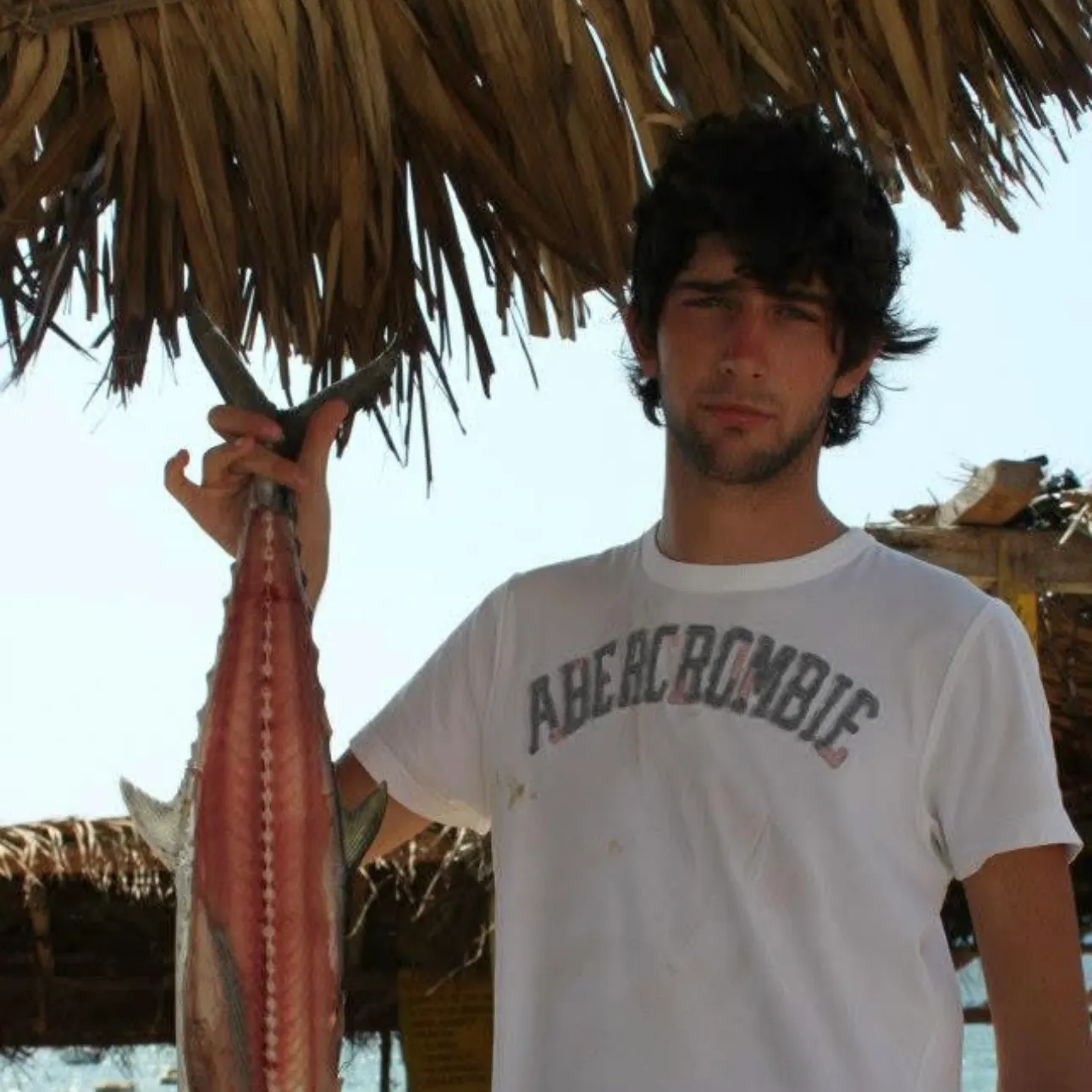 The most recent Narrow-barred Spanish mackerel catches on Fishbrain