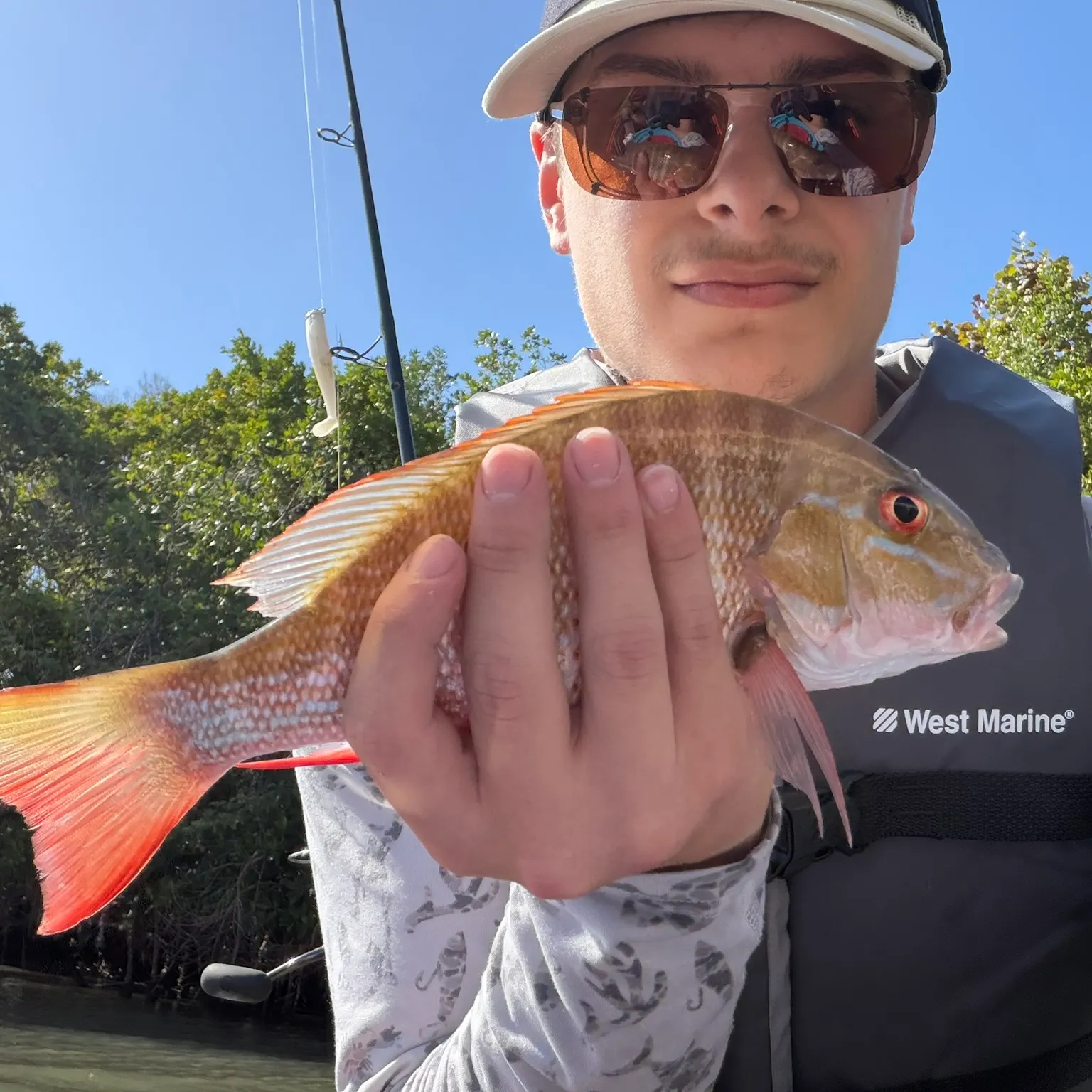 The most recent Mutton snapper catches on Fishbrain