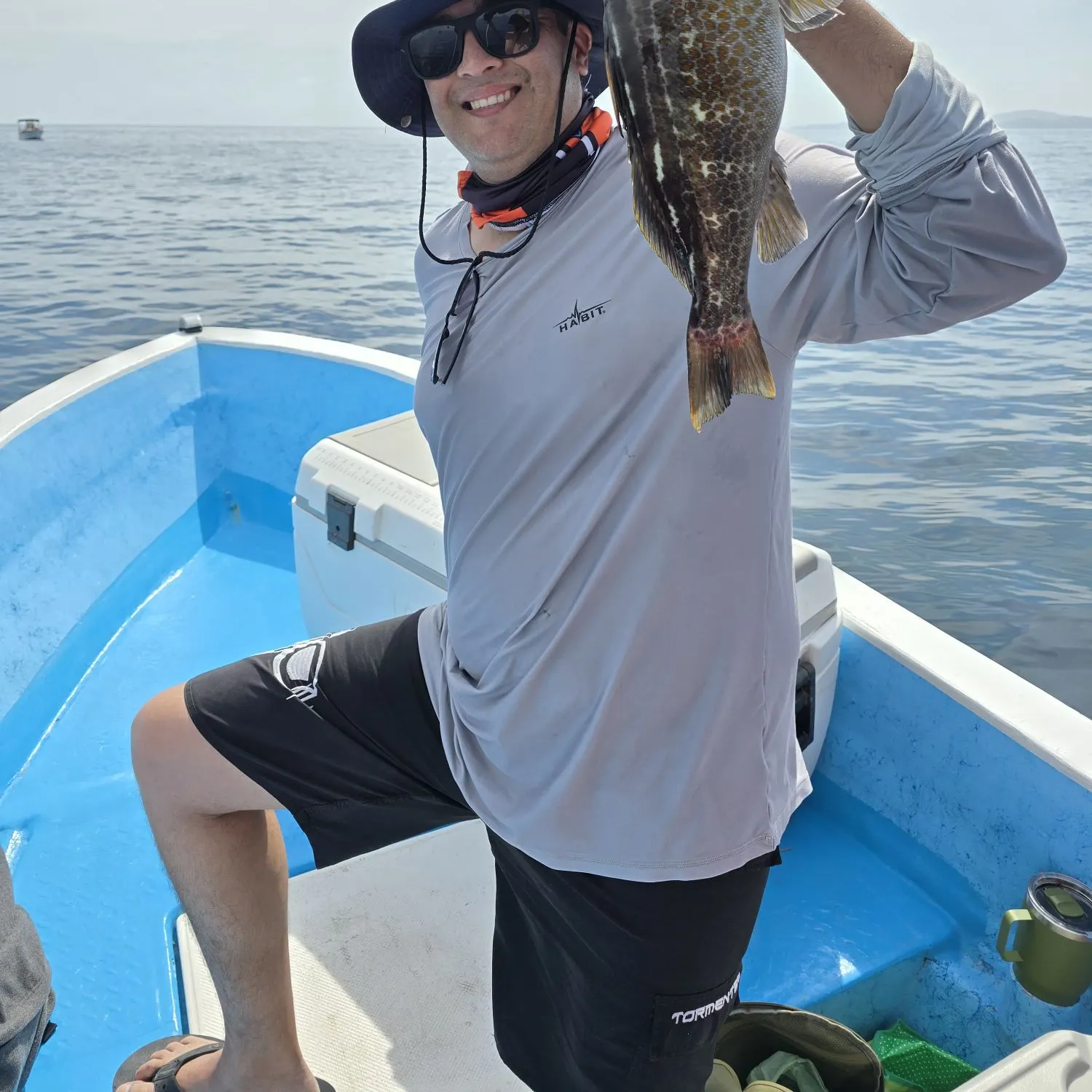 Spotted grouper caught on Fishbrain