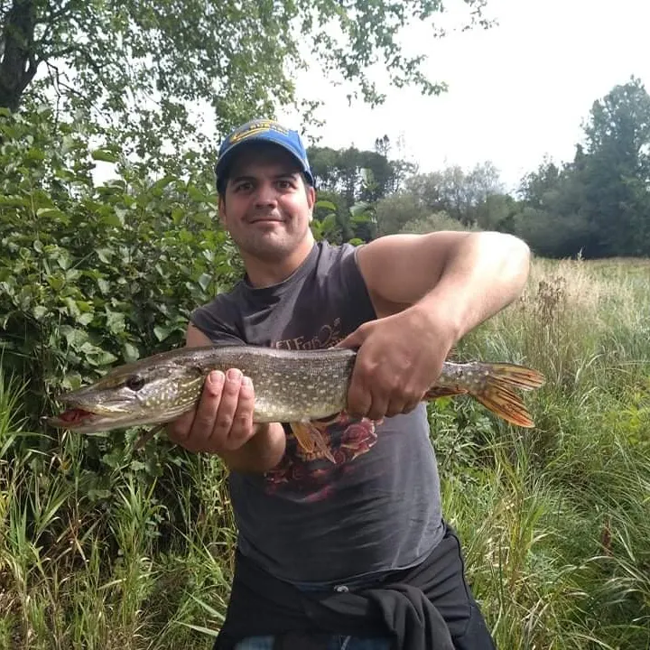 angler catch