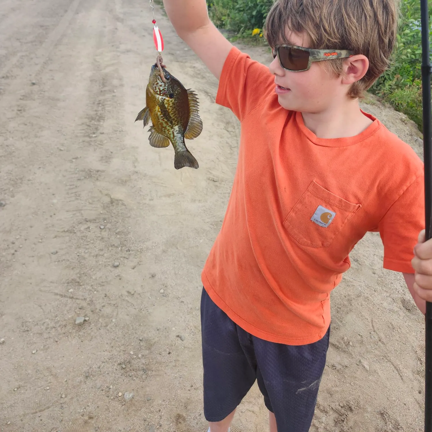 Pumpkinseed caught on Fishbrain