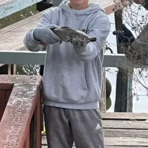 Channel catfish caught on Fishbrain
