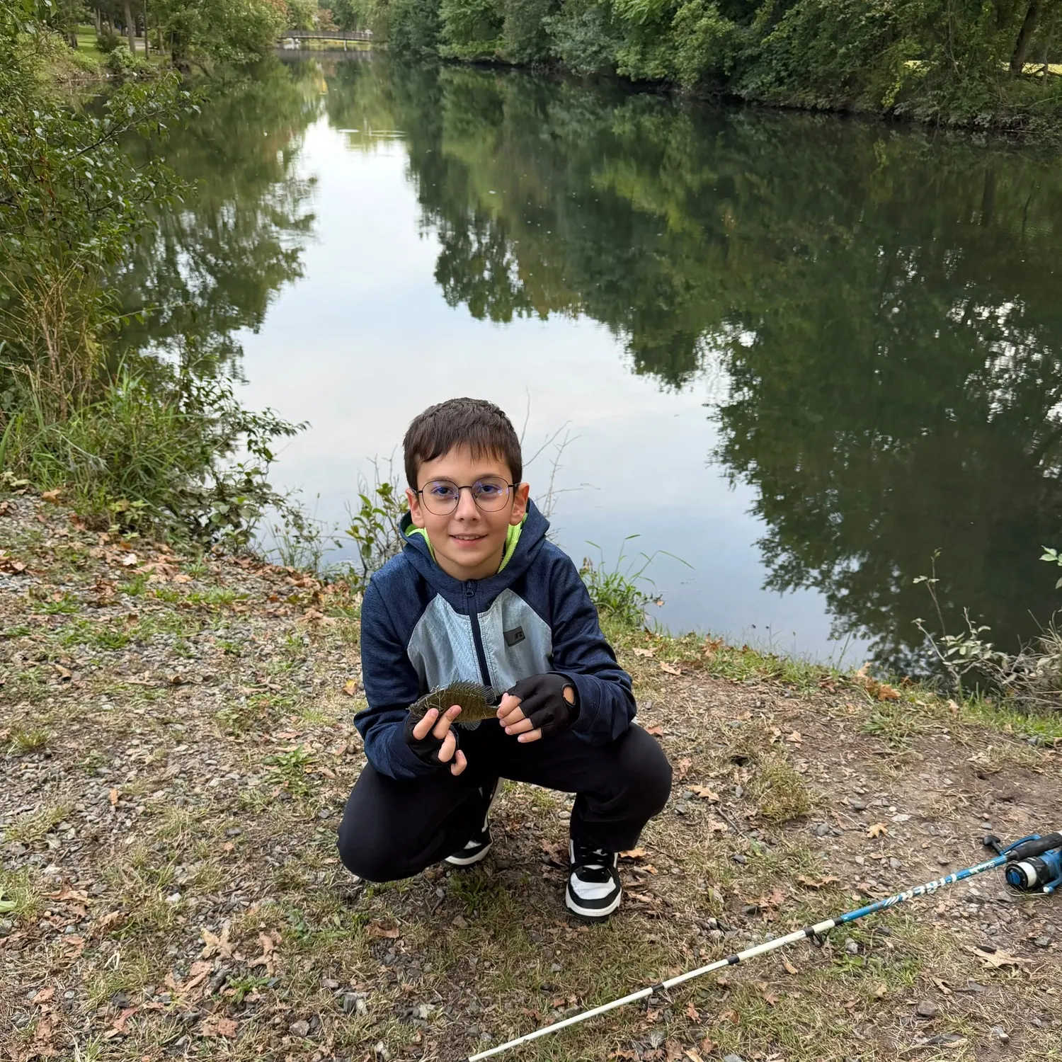 Bluegill caught on Fishbrain