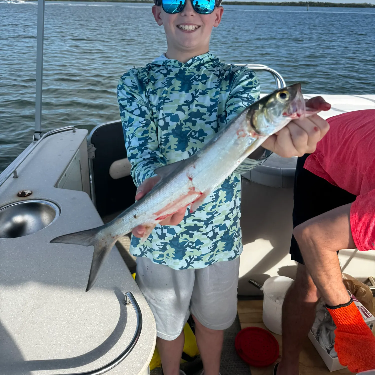 The most recent Ladyfish catches on Fishbrain