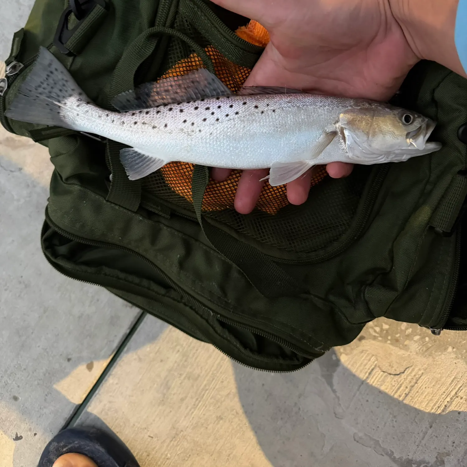 catch