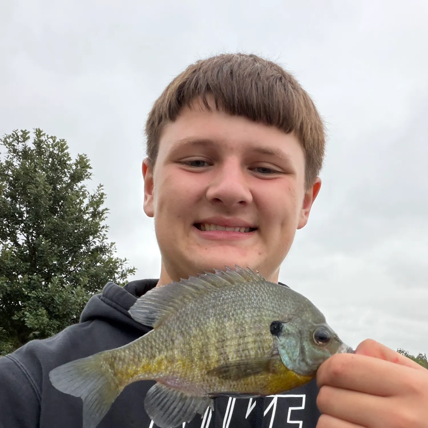 Bluegill caught on Fishbrain