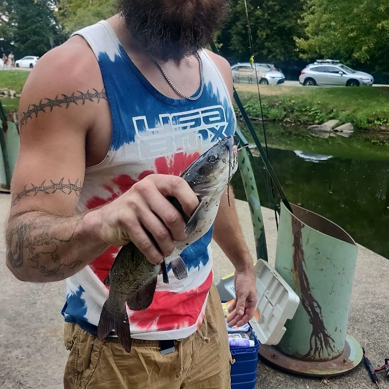 Channel catfish caught on Fishbrain