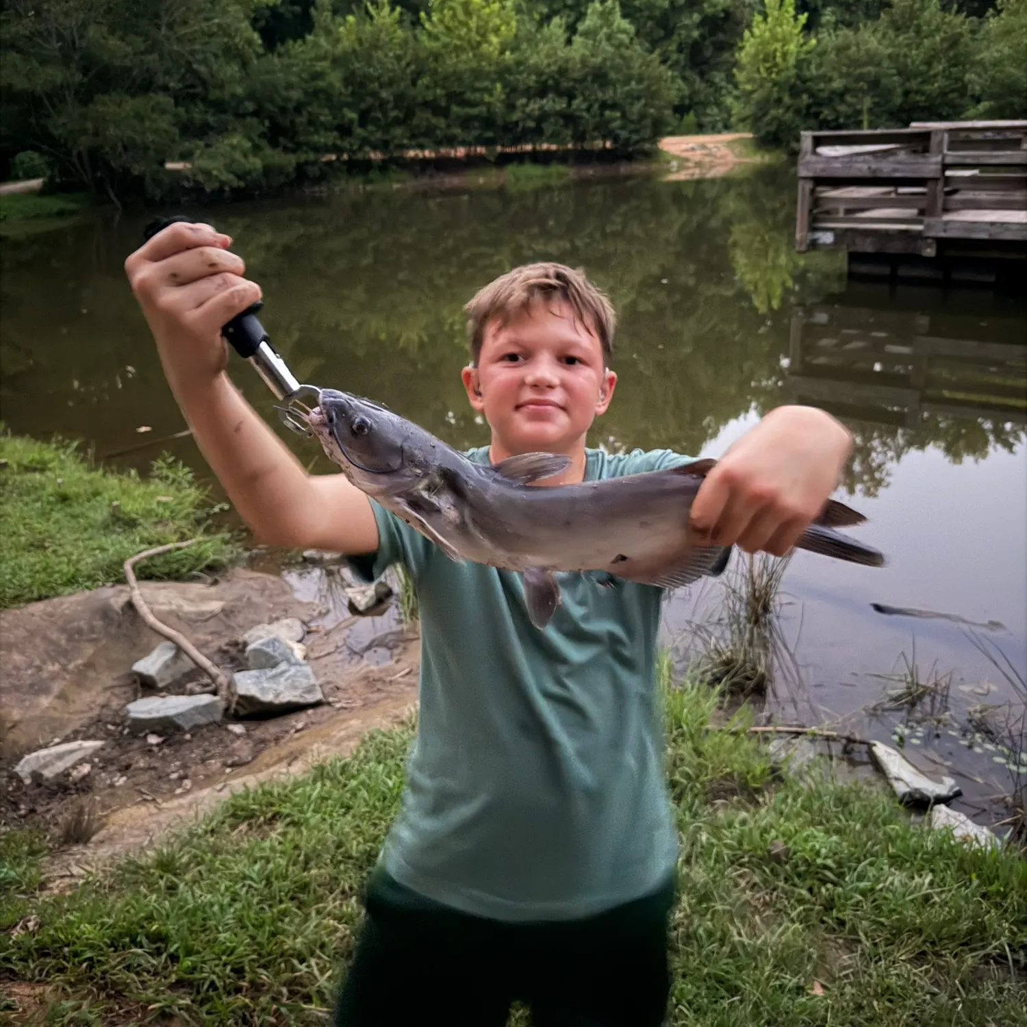 Channel catfish caught on Fishbrain