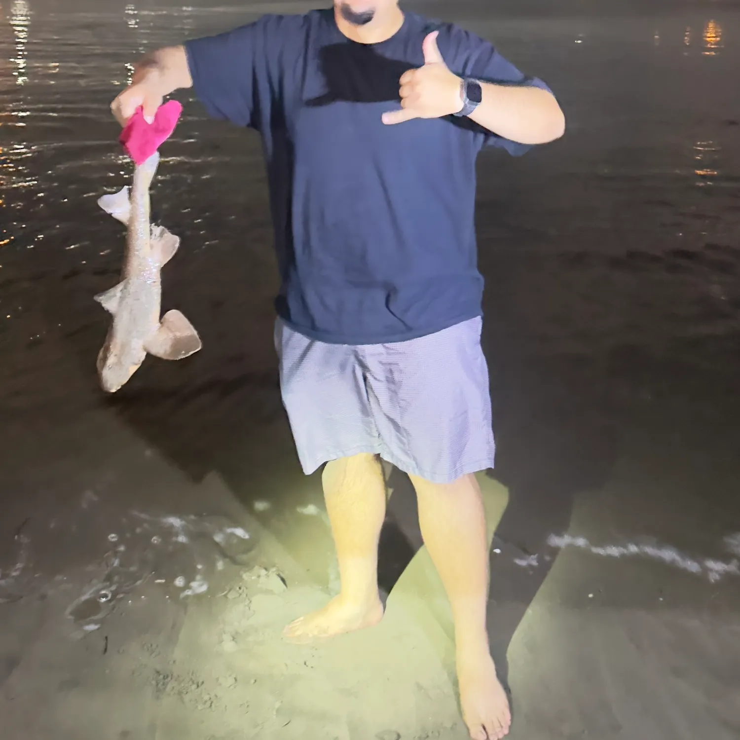 The most recent Horn shark catches on Fishbrain