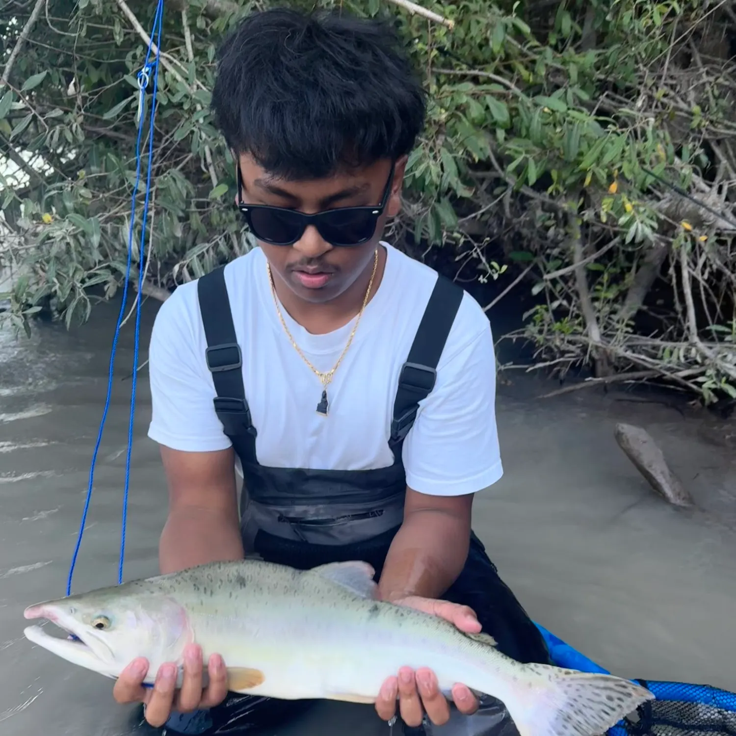 The most recent Pink salmon catches on Fishbrain