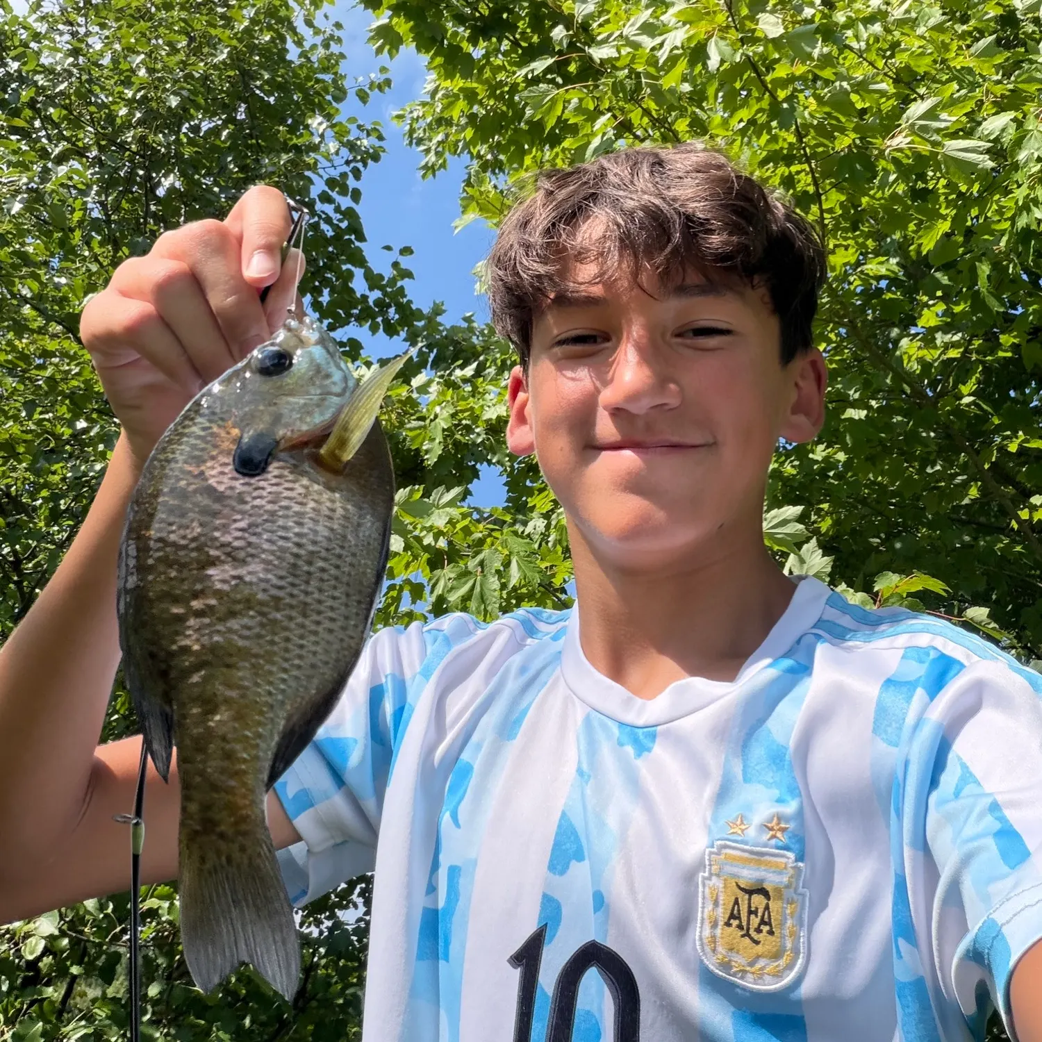 Bluegill caught on Fishbrain