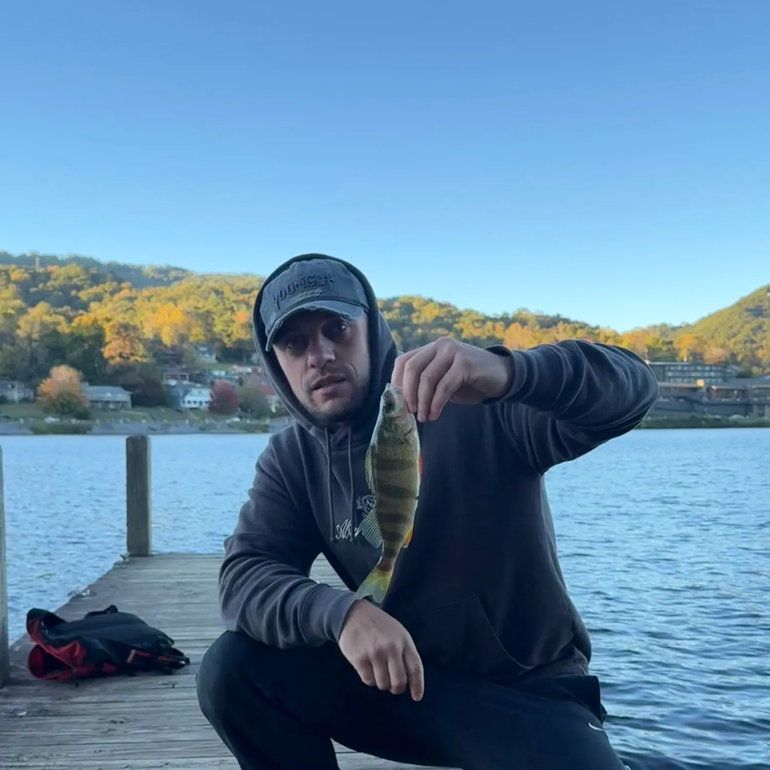 Yellow perch caught on Fishbrain