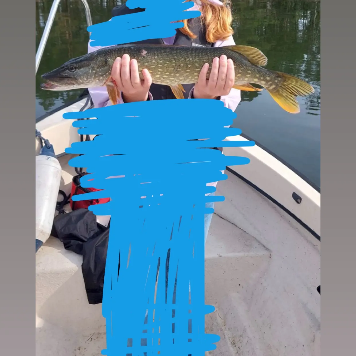 Northern pike caught on Fishbrain