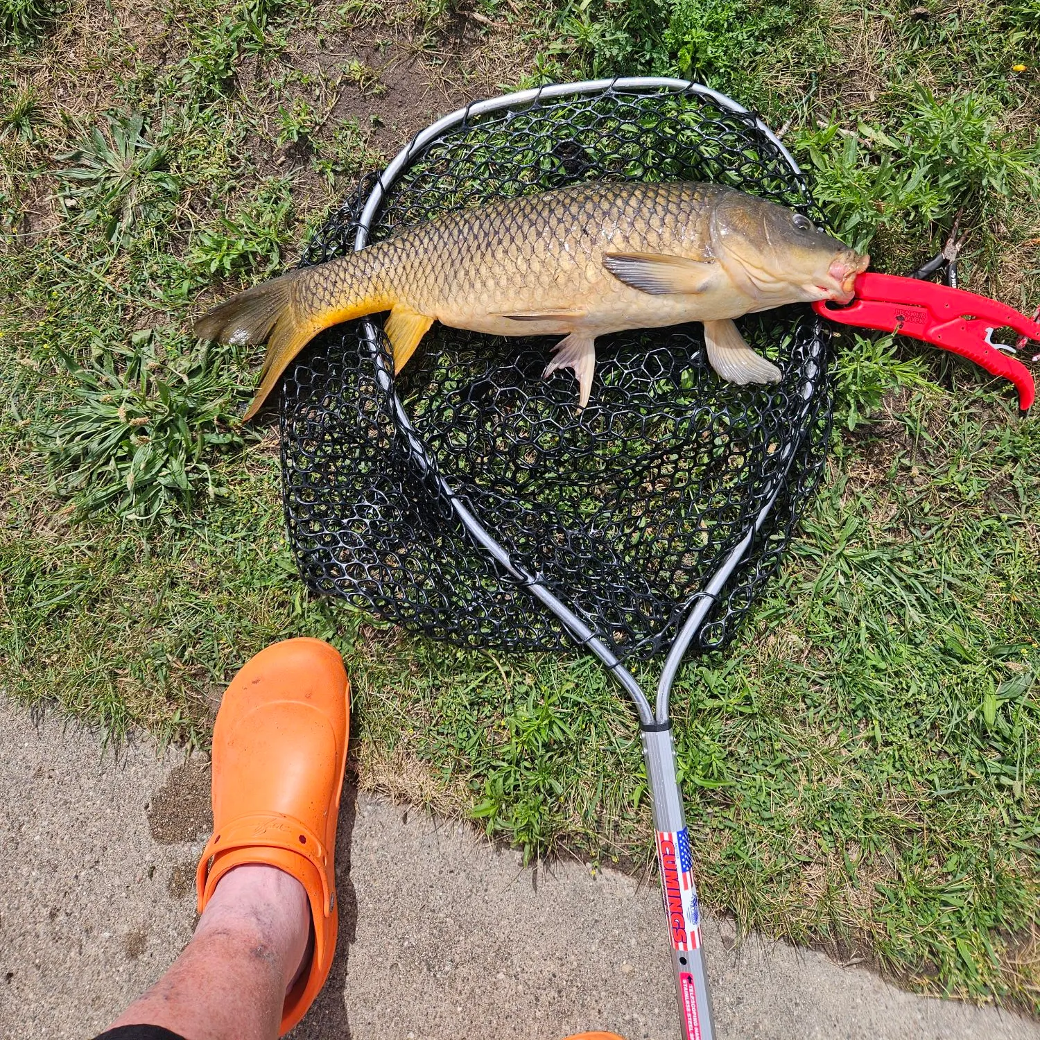 catch